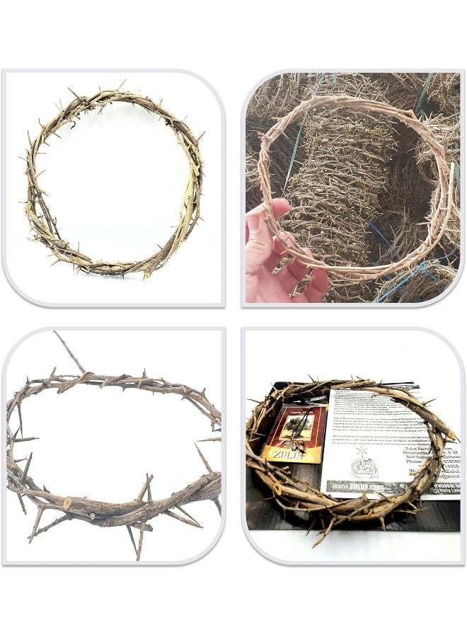 Zuluf Jerusalem Authentic Biblical Lifesize Real Crown of Thorns with Box & Certificate - Image 3